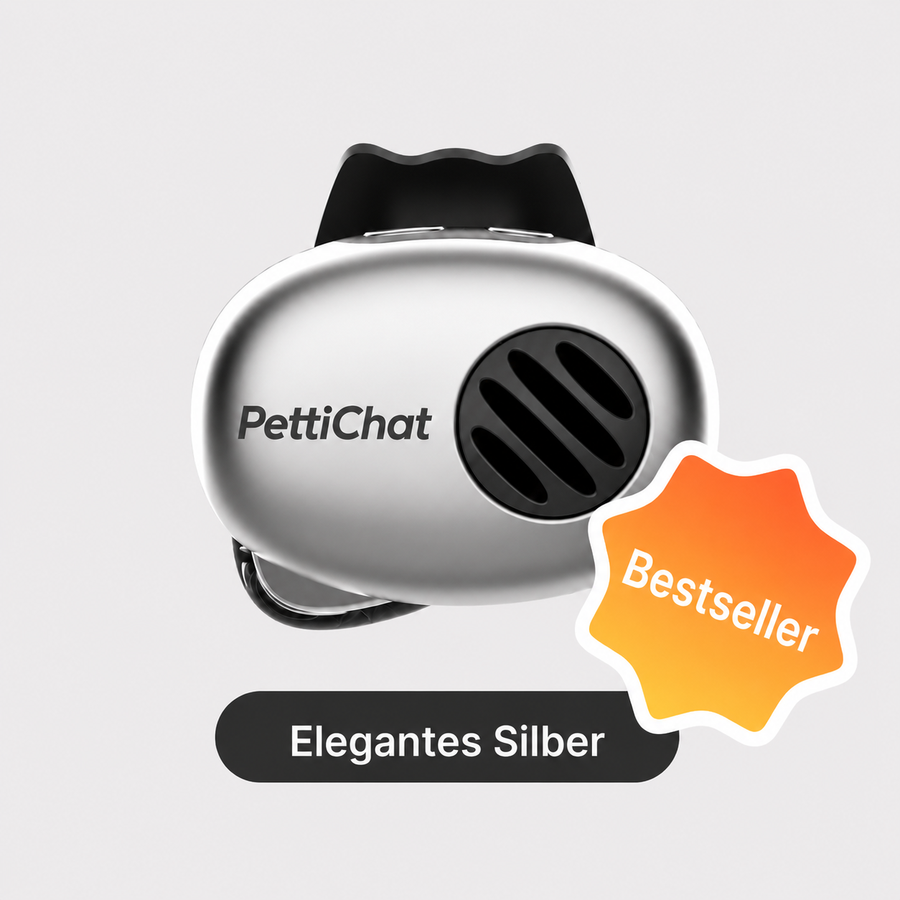 PettiChat Haustierübersetzer